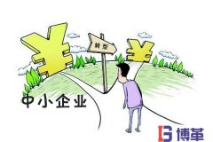 博革咨詢論中國中小民營企業的出路