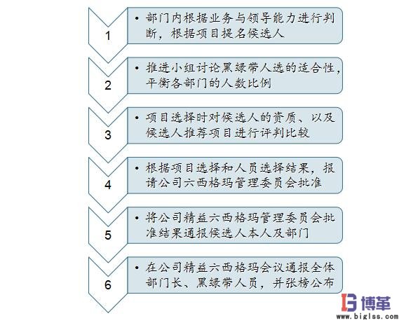 六西格瑪黑帶、綠帶人員的選擇