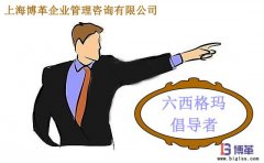 六西格瑪管理中倡導者的職責是什么？