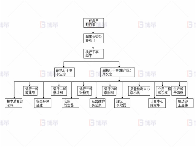 某化工廠生產區5S改善案例 5S項目組織架構